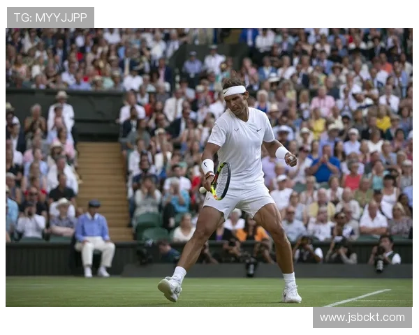 网球赛季更新：纳达尔宣布暂时退役 小威重返赛场迎新挑战